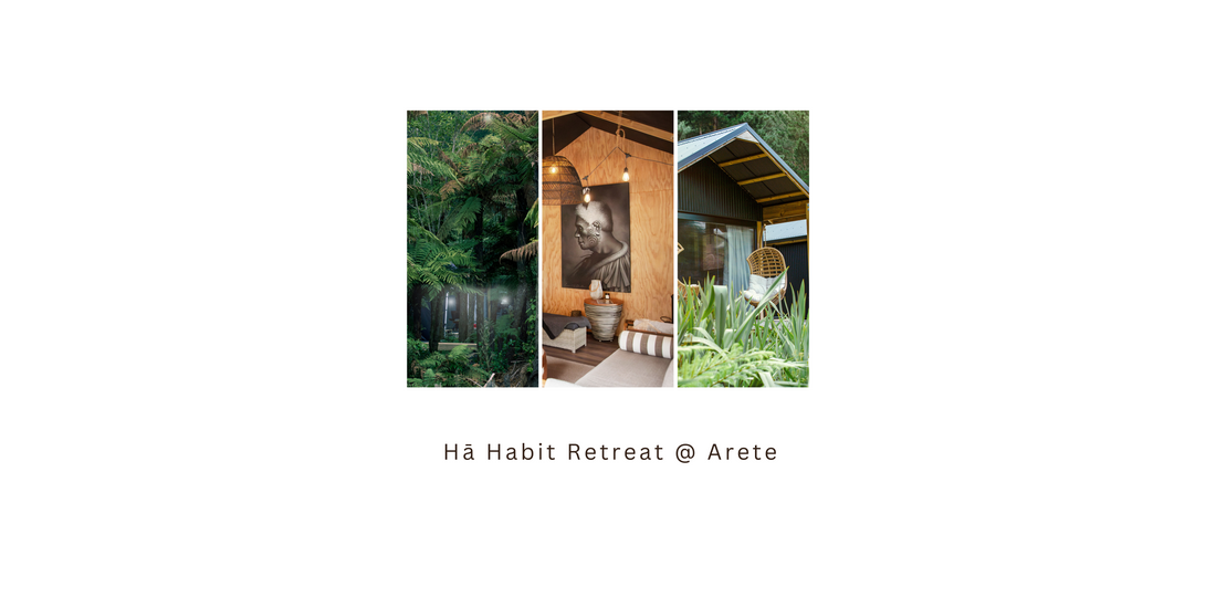 Reclaiming Health: A Māori Wellness Retreat for Leaders & Management in New Zealand