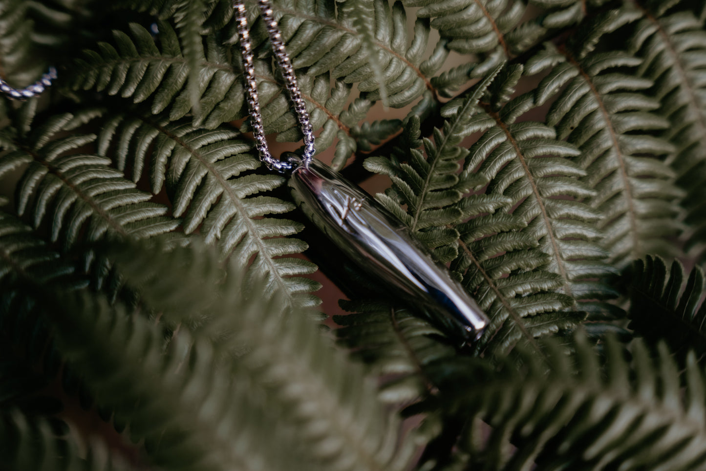 fern, silver necklace, nz nature, ha tool, anxiety whistle, anxiety necklace, stress necklace, silver jewelry nz, nz fashion